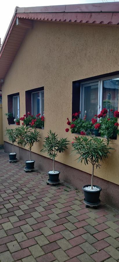 Appartamento Cazare Buzău Esterno foto